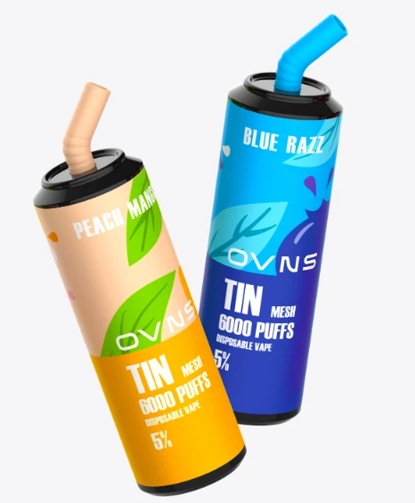 6000 Puffs Factory Price Coke Can Mesh Coil Disposable Vape Pen